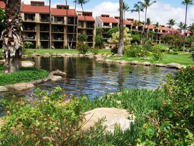 Wailea Condo 896112